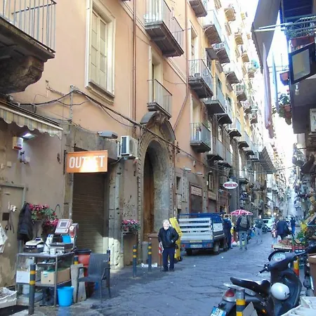 Neapolitan Flat 2 0 4*